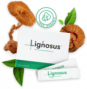 Lignosus – Homepage – Banner Product Image